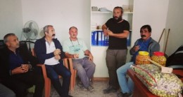 Komünist Başkan Mut’ta Zeytin Hasadına Katıldı