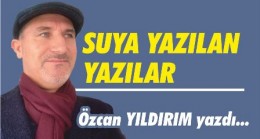 ŞİDDETİN ANATOMİSİ VE DAYANILMAZ CAZİBESİ