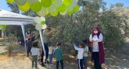 Anaokulu Öğrencilerinden Zeytin Hasadı