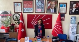 CHP Mut Kadın Kolları’ndan Kadına Şiddet Açıklaması