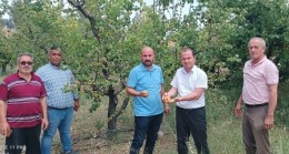 Mut’ta şiddetli dolu yağışı bahçelere zarar verdi