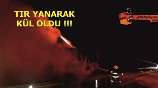 TIR YANARAK KÜL OLDU