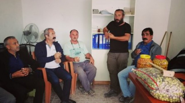 Komünist Başkan Mut’ta Zeytin Hasadına Katıldı