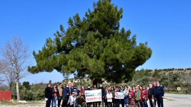 ÇIDOG’DAN HOCALI KAVACIK DOĞA YÜRÜYÜŞÜ