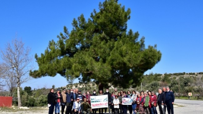 ÇIDOG’DAN HOCALI KAVACIK DOĞA YÜRÜYÜŞÜ