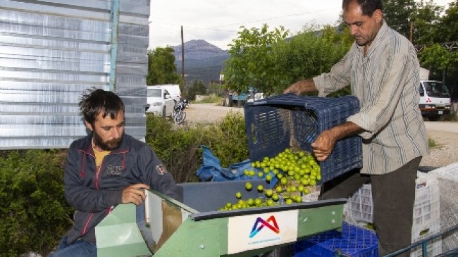 Büyükşehir’den Mut’a 1 erik boylama makinesi daha