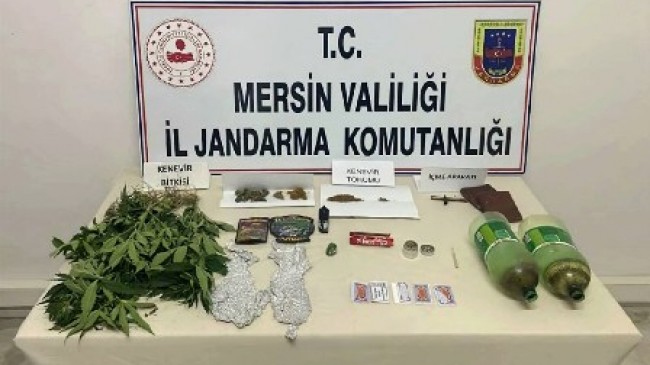 Jandarmadan Uyuşturucu Operasyonu