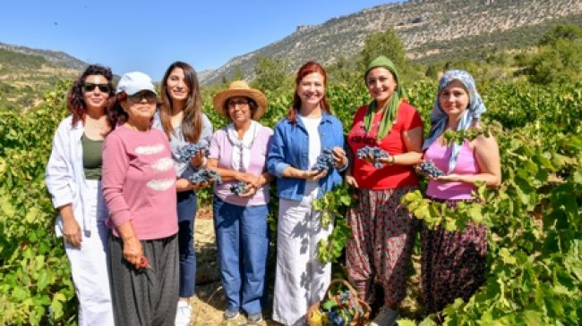 MERAL SEÇER MUT’TA PATKARA ÜZÜM HASADINA KATILDI