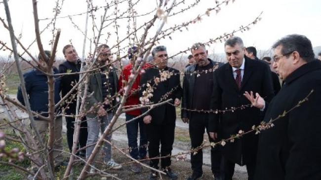 VALİ TOROS ÜRÜNLERİ ZARAR GÖREN ÇİFTÇİLERİ ZİYARET ETTİ