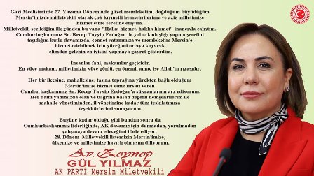 zeynep gul yilmaz