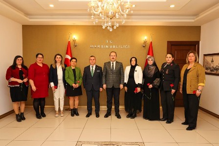 vali kadin siddet kurul