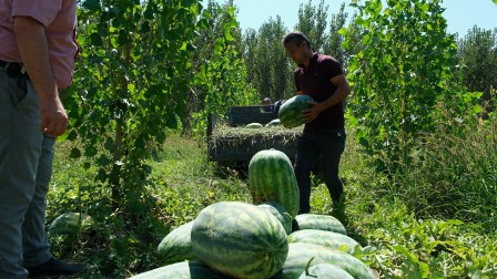 CREATOR: gd-jpeg v1.0 (using IJG JPEG v62), quality = 90