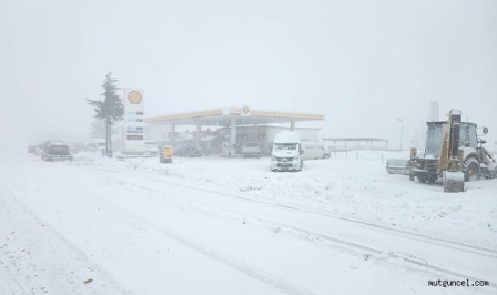 CREATOR: gd-jpeg v1.0 (using IJG JPEG v62), quality = 100